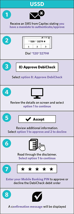 USSD Debicheck guide