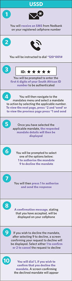 USSD Debicheck guide