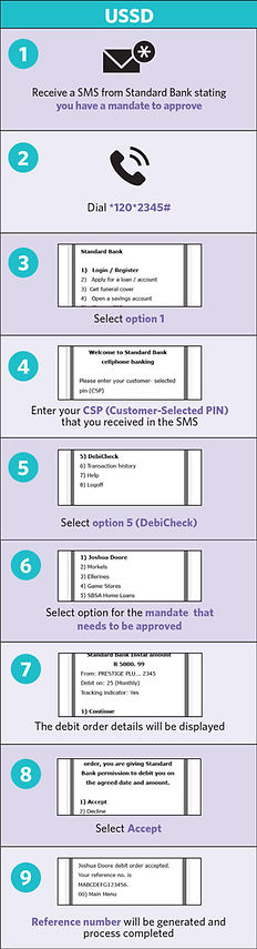 USSD Debicheck guide